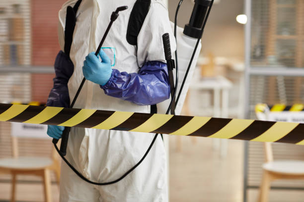 Professional Sewage Cleanup technician working in Salem, AR